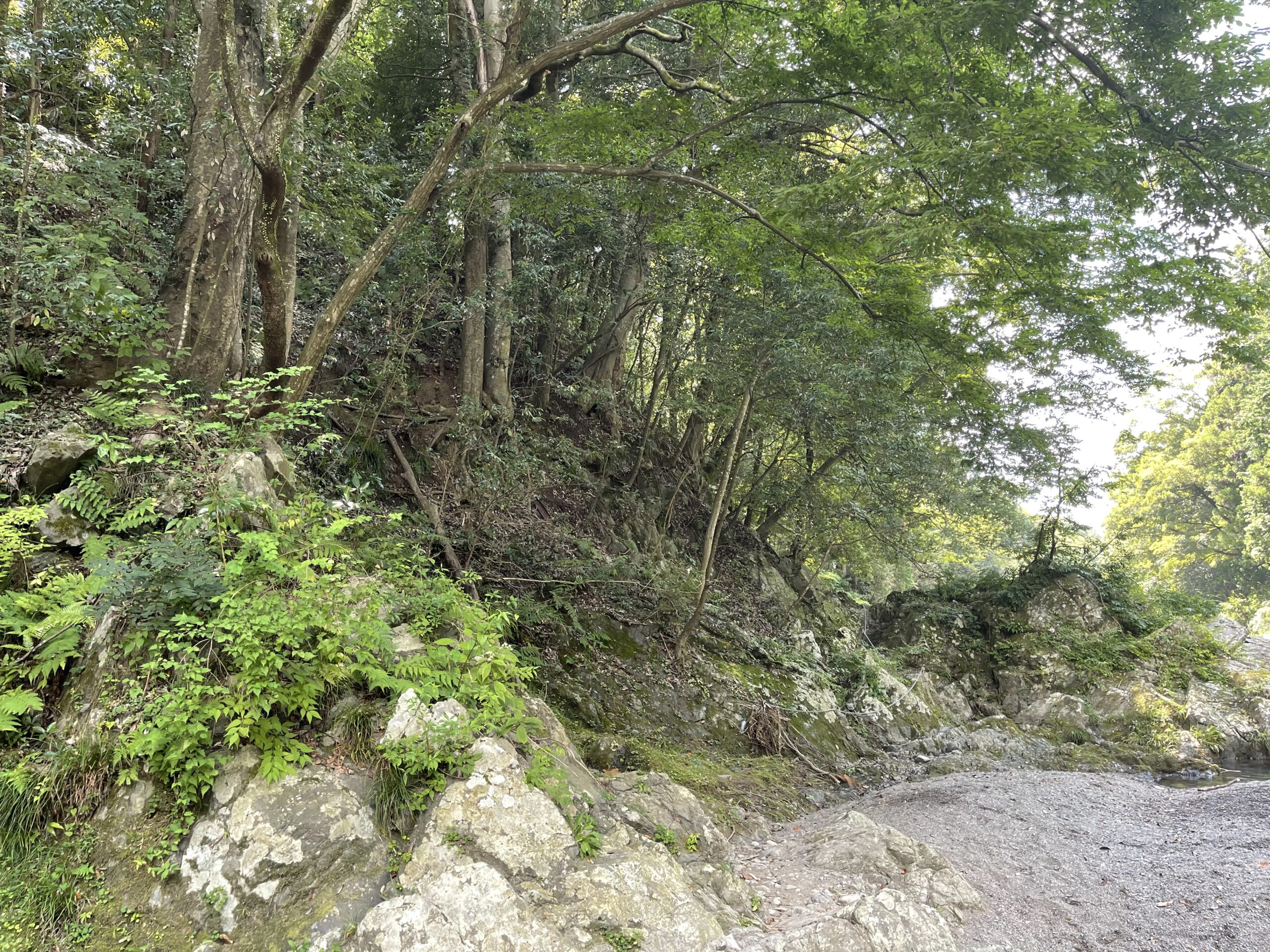 pic-中平河原駐車場